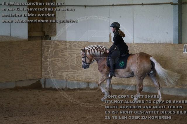 s_K3F03272.JPG
